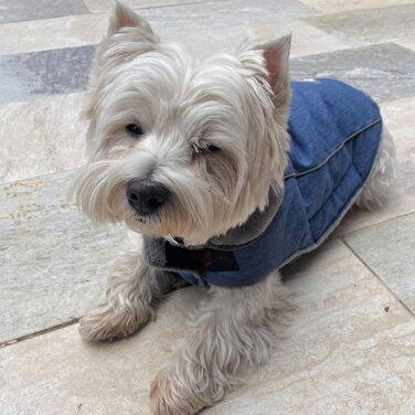 Benetton Hundebett для середніх собак, сірий, 90 см, ергономічне, з поліестеру, придатне для прання