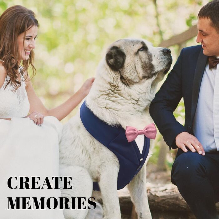 Смуговий костюм для собак AVERYDAY: смокінг для вечірки, Хелловіну, косплею, весілля. Підходить для середніх та великих собак (XL, блакитний смокінг + рожева краватка)