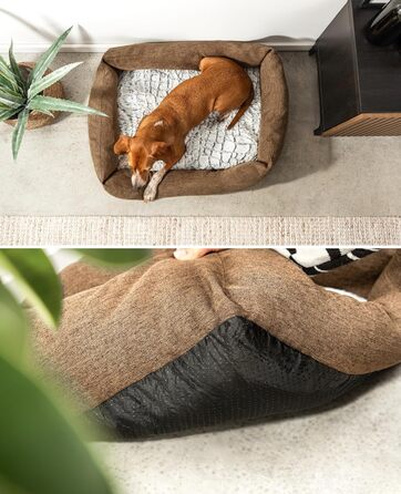 Клітка-лежанка для собак Lionto з м'яким змінним подушками, затишна лежанка для домашніх тварин у меланжевому дизайні з глибоким входом для собак та котів усіх розмірів, 80x60 см, м'яка лежанка для собак, коричнева (з написом) Коричнева L 80 x W 60 x H 26