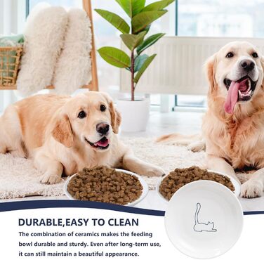 Набір мисок для котів з кераміки, 6 шт. - плоскі миски для котів та дрібних тварин, сучасний дизайн