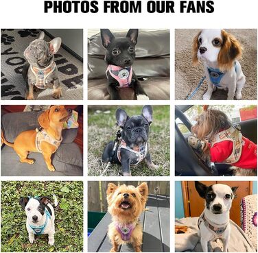 Шлейка та поводок для собак та котів BEAUTYZOO, м'яка сітчаста тканина, світловідбиваючі елементи, для дрібних та середніх цуценят, в клітинку, XS/S, (M(41-46см обхват грудей), 