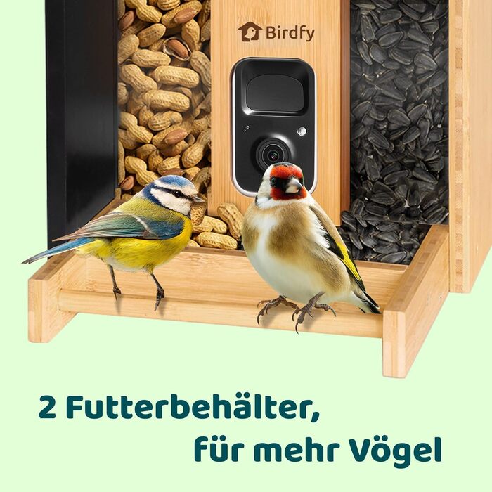 NETVUE Birdfy бамбуковий міні годівничка з камерою для спостереження за птахами, сонячна батарея, автоматичний запис, сповіщення в додатку
