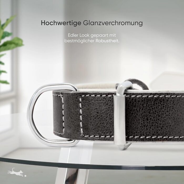 Нашийник для собак FREUDENTIER® Amstelpark з повном'якої шкіри, м'який та комфортний, Made in EU (47-57 см)