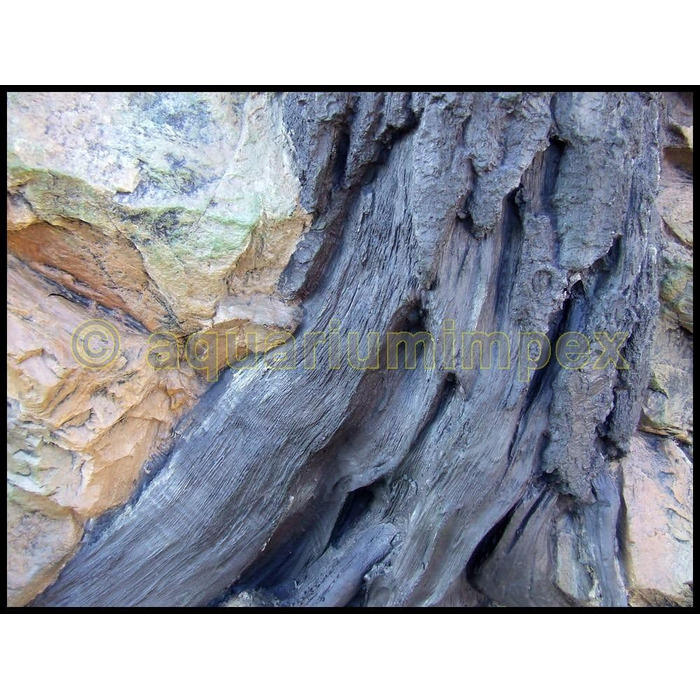 3D фон для акваріума Root 120x50 см, коріння, декоративна задня стінка