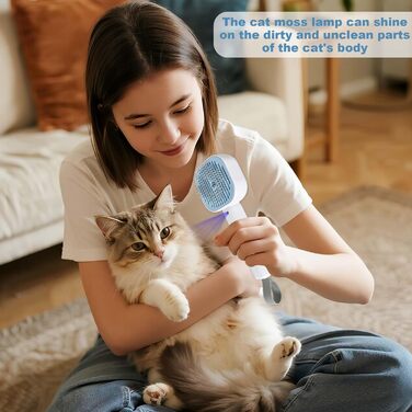 Бурштук для котів з парою, парова щітка для котів та собак, акумуляторна щітка для собак та котів з 2 рівнями розпилення, багатофункціональна щітка для догляду за шерстю, видалення шерсті та масаж