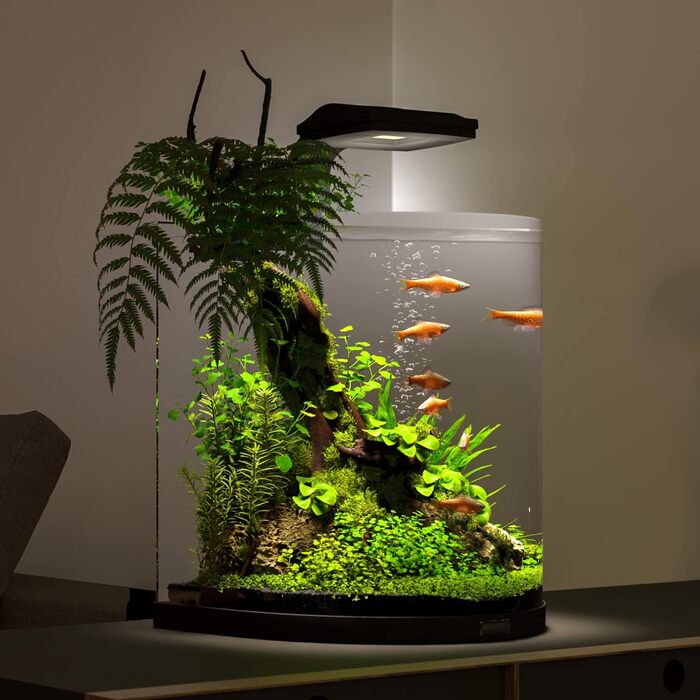 Акваріум Tetra Explorer Line 60 л, комплект: LED-освітлення, обладнання, корм і засоби догляду, вигнута передня стінка, чорний колір