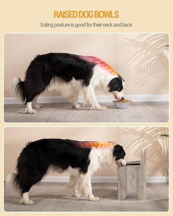 Підвищені годівниці для собак Hzuaneri з нержавіючої сталі, набір з 2 шт., антивитікаючі, для великих та середніх собак, Greige PB07105B
