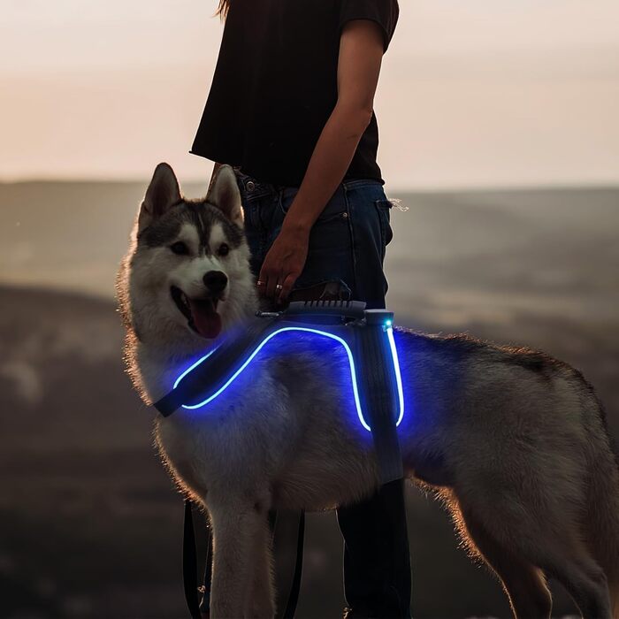 LED іграшка для собак MABRILL з імітацією звуку, світлодіодна, перезаряджувана, з ручкою, чорна (S, синій)