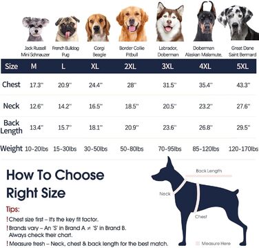 Пуловер для собак IECOii: теплий, стильний, для малих, середніх та великих порід. Зігріваючий зимовий пуловер з високим коміром для собак та котів. Колір: зелений, розмір: XX-Large (DeepWaterOrchidee)