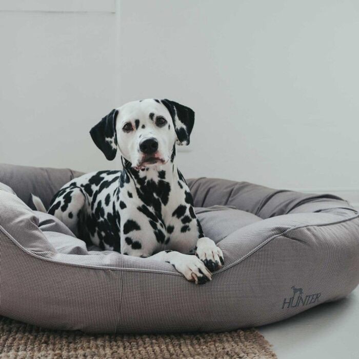 Диванчик для собак HUNTER Lancaster L, сірий, 100 x 70 см