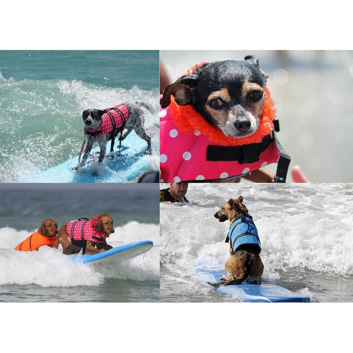 Світловідбиваюча рятувальна жилетка для собак SHTGOI з ручкою для рятування. Жилет для собак, цуценят, для плавання, катання на човні, блакитний колір.