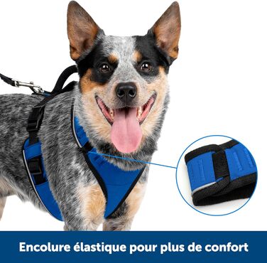 Шлейка для собак PetSafe EasySport, повністю з м'якою підкладкою, для собак 9-16,5 кг, розмір S, (M, блакитна)