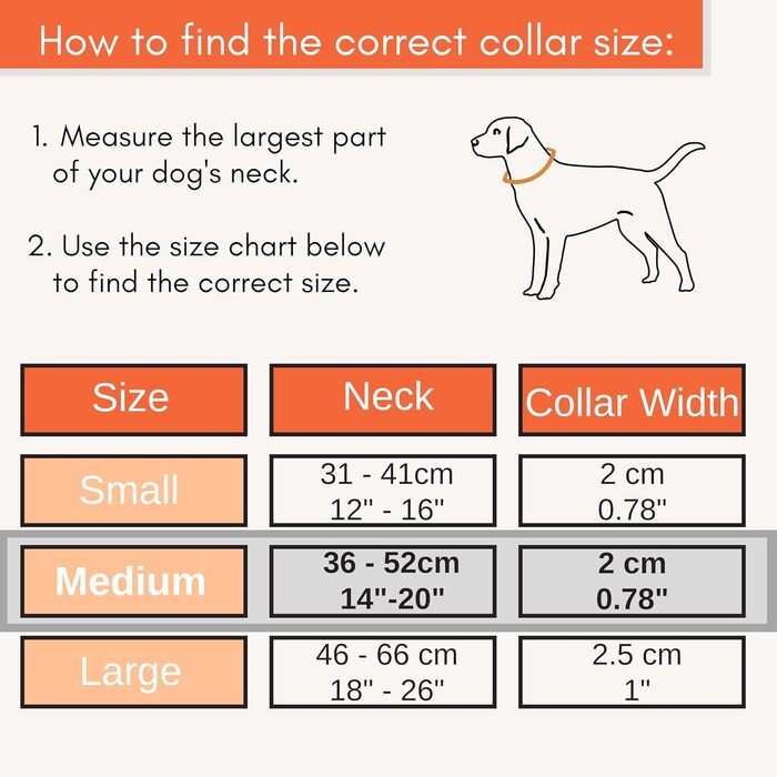 Нашийник для собак середнього розміру, світловідбиваючий, з підкладкою, регульований, металева застібка, кільце з алюмінію, колір Dreamy Aqua