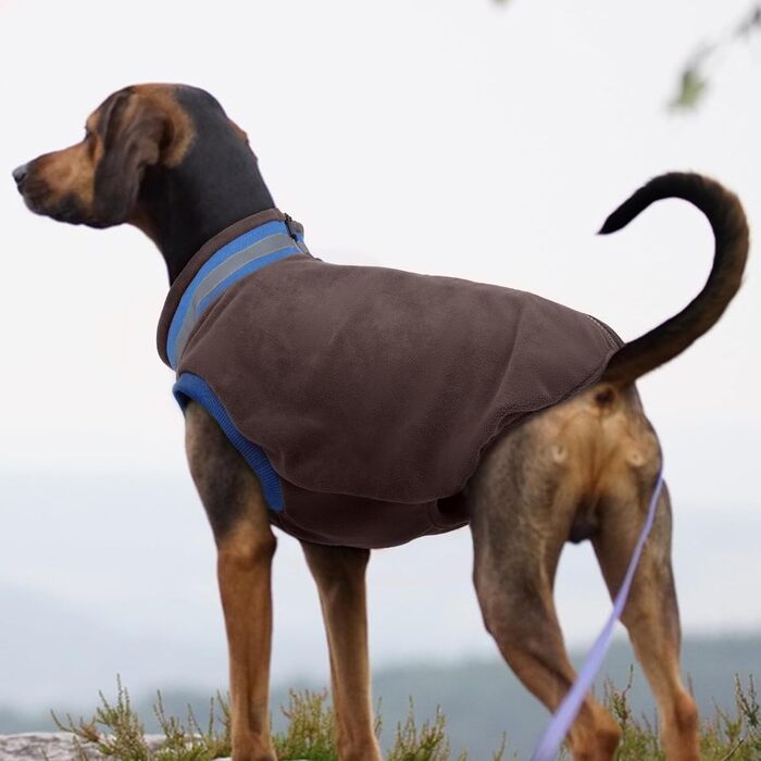 Теплий зимовий теплий костюм для собак середнього розміру, теплий костюм для собак на осінь/зиму (колір: коричневий, розмір: M)