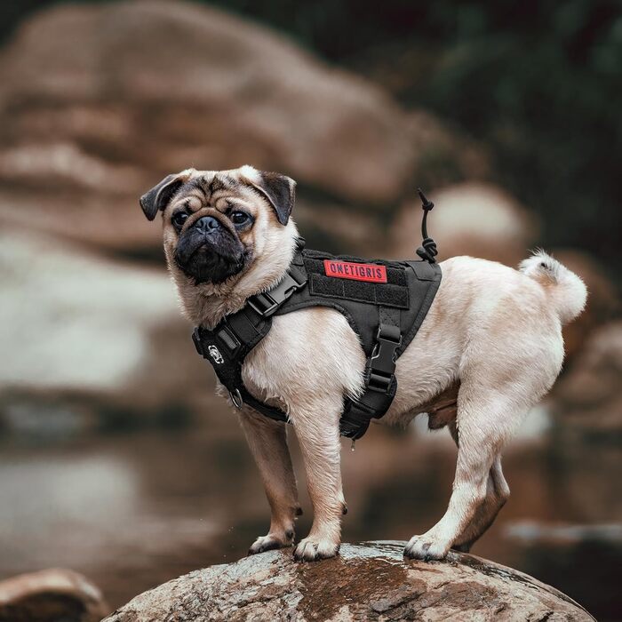 Тактичний нашийник для собак OneTigris FIRE WATCHER, 1000D нейлон, чорний (XXS)