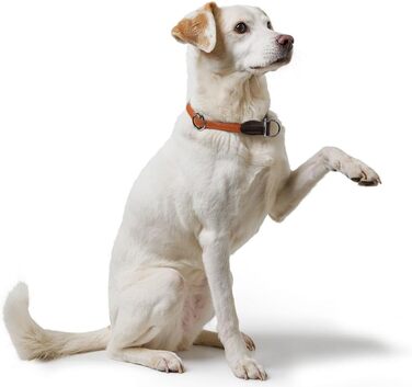 HUNTER Dressurhalsung FREESTYLE, чорний, міцний ошейник для тренувань та повсякденного використання, розмір L