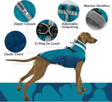 Зимовий теплий одяг для собак - куртка, пуловер, жилет для маленьких собак, чихуахуа (XXL, темно-зелений)