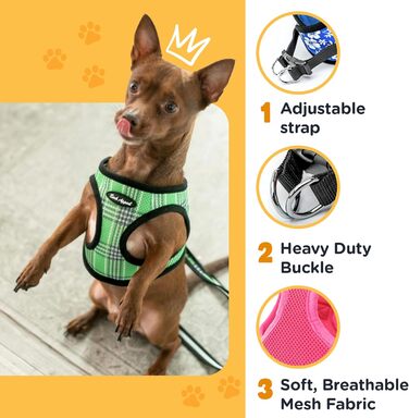 Шлея для собак Bark Appeal з сітчастої тканини, розмір S, камуфляж