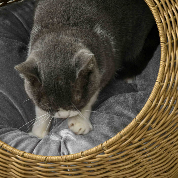 PawHut Rattan Cat Basket Cat House з подушкою для котів до 4 кг, кімнатна котяча печера з поліетиленового ротанга, Ø50 x 31 см, світло-коричневий для затишного відпочинку