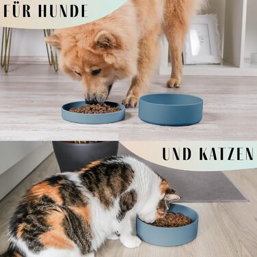 Миска для собак Ne&no® Silikon 1200 мл з кришкою | для маленьких та середніх собак | нержавіюча сталь, синій | не слизька, комплект миска та кришка