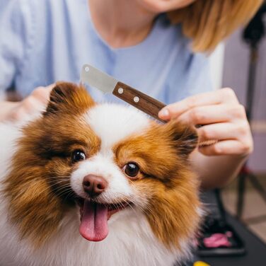 Гребінець для собак Toyvian (2 шт.) - професійний інструмент для догляду за шерстю, м'яка масажна щітка для довгої та короткої шерсті