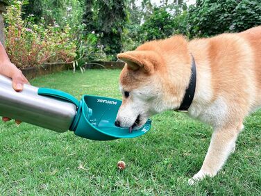 PupFlask пляшка для води для великих собак 800/1200 мл, нержавіюча сталь, портативна поїлка для собак і цуценят, герметична, для подорожей, підходить для всіх порід