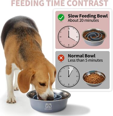 Миска для собак 2 в 1 Slow Feeder з нержавіючої сталі Bestalk, миска для корму з антиковзким дном, 304, сірий колір, 5 чашок