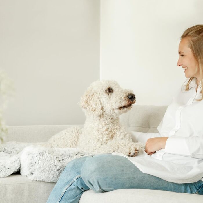 Ліжко для собак TRIXIE Harvey, 60x50 см, сірий/біло-чорний, з довгого ворсу, для середніх собак, антиковзаюче, миється, 38022