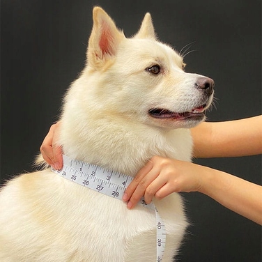 Куртка Puppia, чорна, 3XL