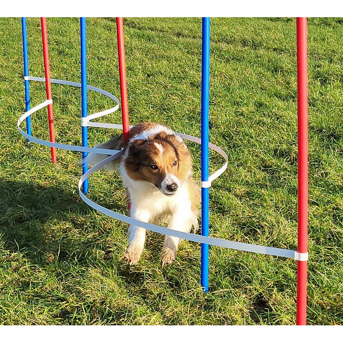 Набір для фристайлу Wuzzmann Agility: 4 боулінгові/тренувальні арки + 6 шлагбаумів (червоний/синій)