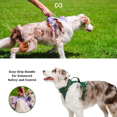 Антизахисна шлейка для собак Easy Walk BearBone з ручкою, повідцем і нашийником, для малих, середніх і великих порід, зелена