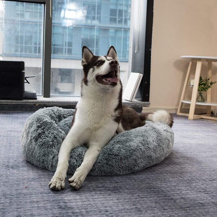 Кругле ліжко для собак Loir Fluffy, 70 см, сірий, м'яке плюшеве, для глибокого сну, легко миється