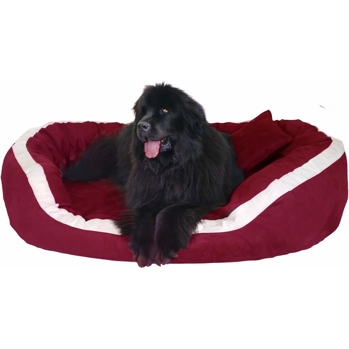 Ортопедичне ліжко для собак Tierlando® Pepper, ліжко-софа для собак, XL, віскоеластична піна, велюр, сірий, 110 см, велике та м'яке, PE4, розмір L +