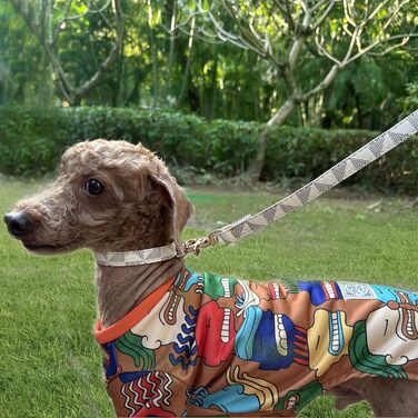 Нашийник для собак та котів Viwind з м'якої шкіри, регульований, повідковий комплект (1.5/2см), білий