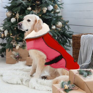 Зимова куртка для собак Emust, тепла та вітронепроникна, помаранчевого кольору, для середніх собак, розмір M