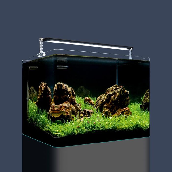 Dennerle Nano Tank Plant Pro — міні акваріумний набір 55 л для рослин