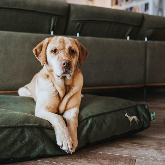 Ортопедична подушка для собак HUNTER Merida, оливковий колір, розмір L