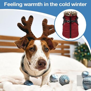 Зимова куртка для собак з інтегрованим шлейкою, світловідбиваючі смуги, розмір XXL, ізольована