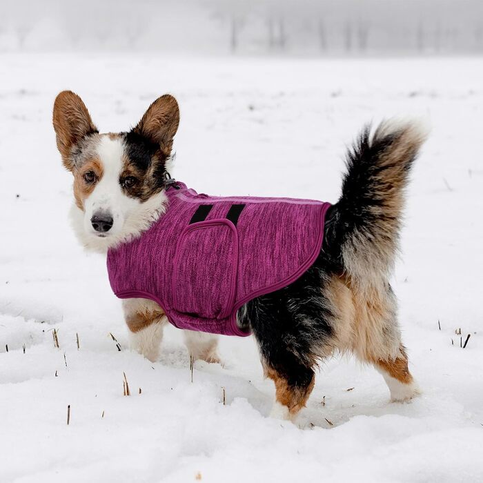 Теплий зимовий пуловер/мандель для собак Queenmore з флісу, для дрібних порід (Чихуахуа, Такса, Бульдог), колір: фіолетовий