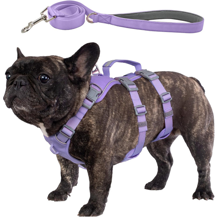 Нашийник для собак Wuffley з повідком, безпечний, анти-тяга, з ручкою, світловідбиваючий, регульований, для середніх собак (Lila, M)