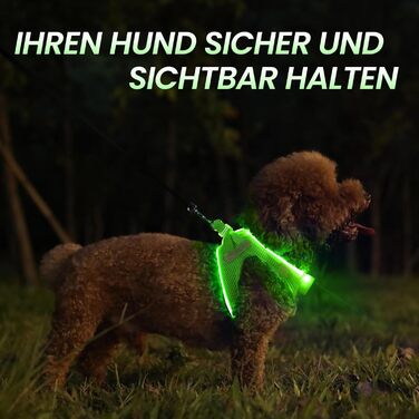 Світловідбиваючий нашийник для собак PcEoTllar з LED підсвічуванням (3 режими), зелений, для маленьких та середніх собак
