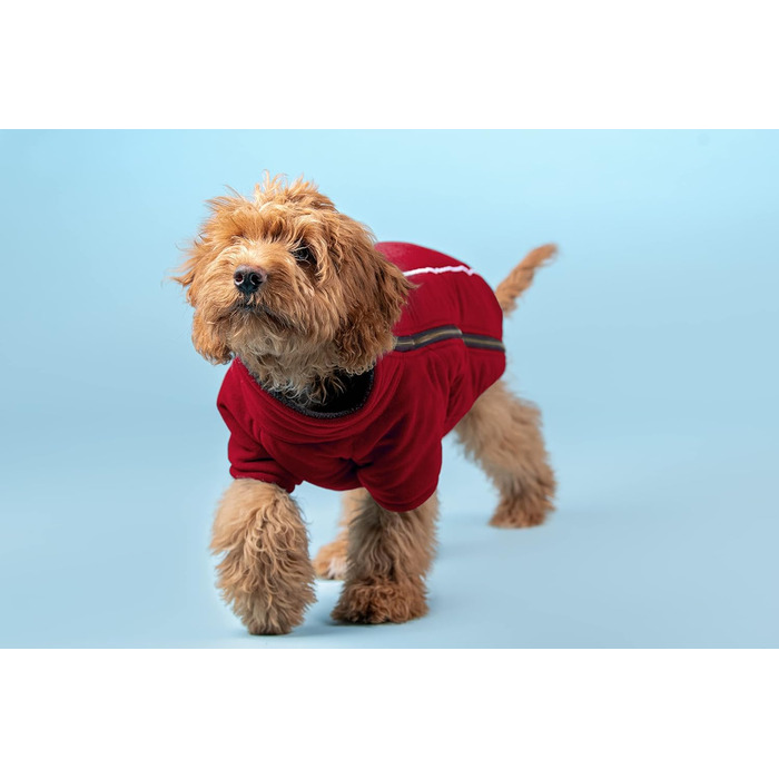 Теплий собачий костюм BoxDog: куртка для собак з поларфлісу, для холодної погоди, маленькі та середні породи, червоний колір, модель Getaway Solids