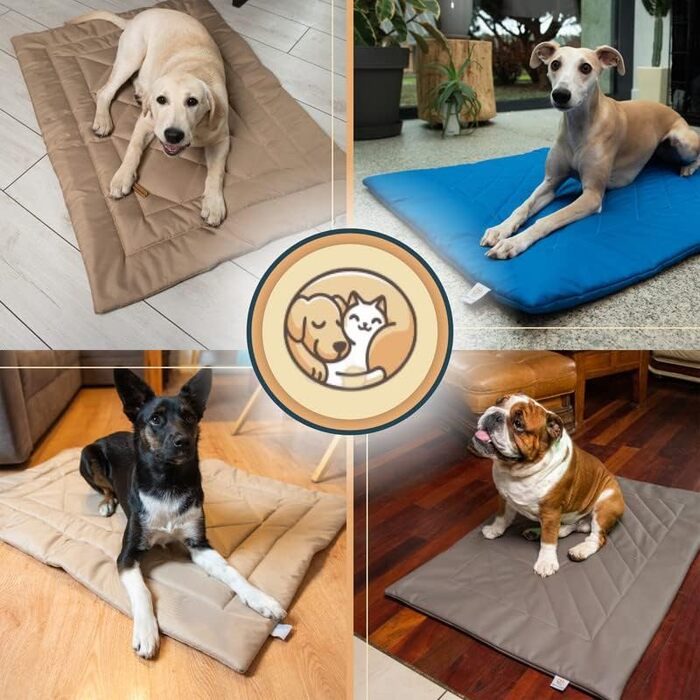 Килимок для собак BARRY & LUCY: лежанка, килимок в авто, килимок для годування. Легкий догляд, водонепроникний, штучна шкіра (55x75/75x55, чорний)