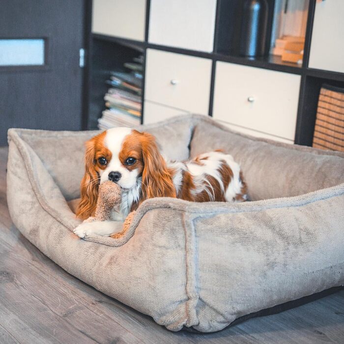 Ортопедичне собаче ліжко 4L Textil IRIS Premium-LINE: зручне та комфортне місце для вашого улюбленця (80x60 см)