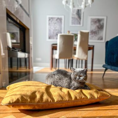 М'яке ліжко для собак середнього розміру, велюрова подушка для собак, 80x50x8 см, зелений колір