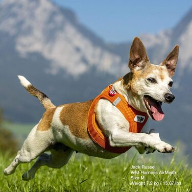 Шлейка-жилетка Vest Harness Air-Mesh чорна 2XS для собак