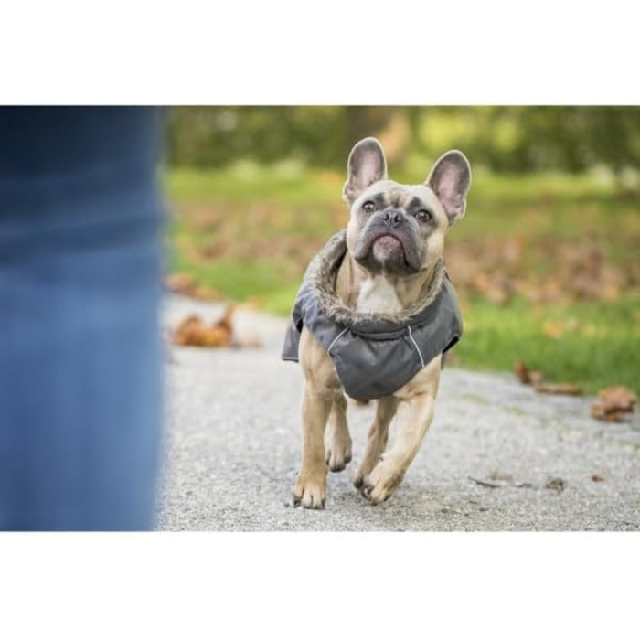 Теплий зимовий пуховик для собак Chiara з шлейкою, сірий, розмір L, з відбиваючими смугами та штучним хутром