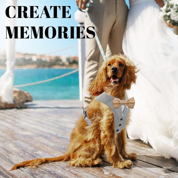 Smoking для собак AVERYDAY: елегантний костюм для свят та фотосесій, з краваткою, для середніх та великих собак (S, сірий + шампань)