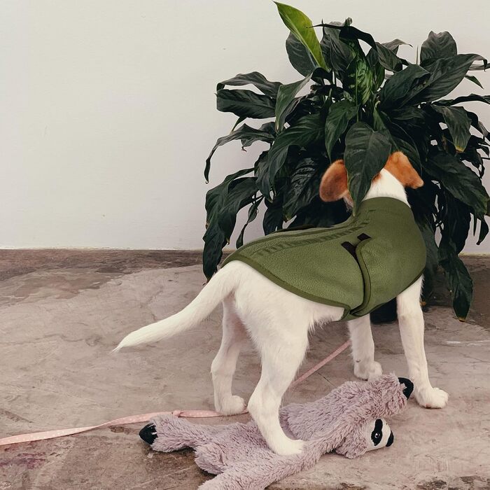 Пуловер для собак Queenmore з флісу, теплий зимовий одяг для маленьких порід (Йоркширський тер'єр, Пудель, Померанський шпіц), сірий, розмір S