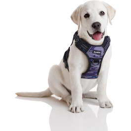 колір: камо ліла